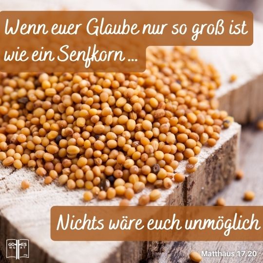 Denn wahrlich ich sage euch: Wenn ihr Glauben wie ein Senfkorn habt und diesem Berge gebietet: ›Rücke von hier weg dorthin!‹, so wird er hinwegrücken, und nichts wird euch unmöglich sein, Mat 11,20