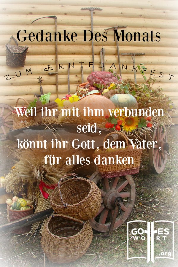 Persönliche, erfreuliche Dankbarkeit führt zum Ausdruck eines zufriedenen Herzens. Lasst uns Gott für alles danken. #erntedankfest #dank #dankbarkeit lese www.gottes-wort.com/erntedankfest.html