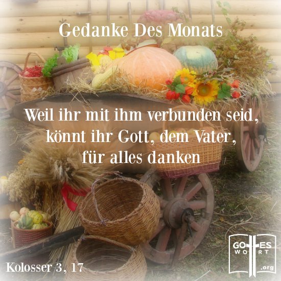 Persönliche, erfreuliche Dankbarkeit führt zum Ausdruck eines zufriedenen Herzens. Lasst uns Gott für alles danken. #erntedankfest #dank #dankbarkeit lese www.gottes-wort.com/erntedankfest.html