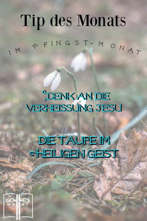 Hast du schon die Taufe im Heiligen Geist erhalten? Finde hier Ermutigungen zu diesem Thema. 
#heiligengeisttaufe #taufe #pfingsten #pfingstfest #helfer lese: www.gottes-wort.com/heiligen-geistes.html