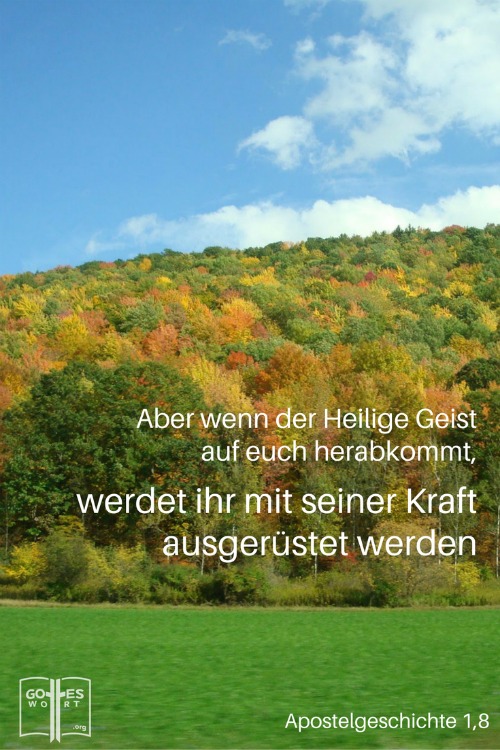 ✚  Aber wenn der Heilige Geist auf euch herabkommt, werdet ihr mit seiner Kraft ausgerüstet werde. Apostelgeschichte 1,8. 
Lesen: https://www.gottes-wort.com/prophetie.html
#prophetie #heiligergeist