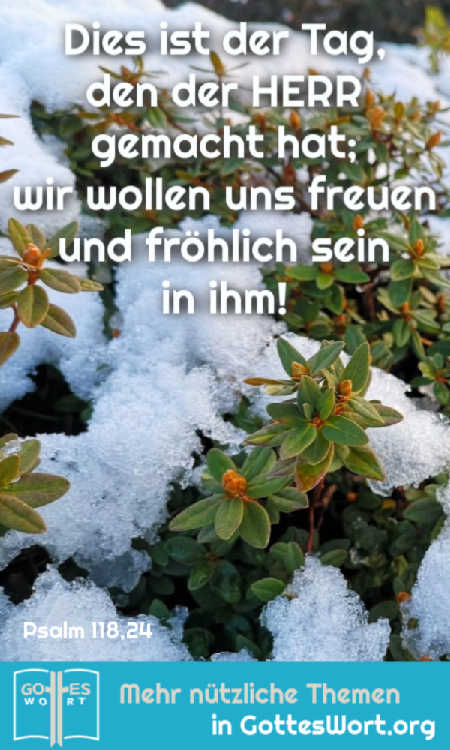 ✚ Dies ist der Tag, den der HERR gemacht hat; wir wollen uns freuen und fröhlich sein in ihm! psalm 118,24
https://www.gottes-wort.com/lieben.html
#loben #lieben #lachen #preisen