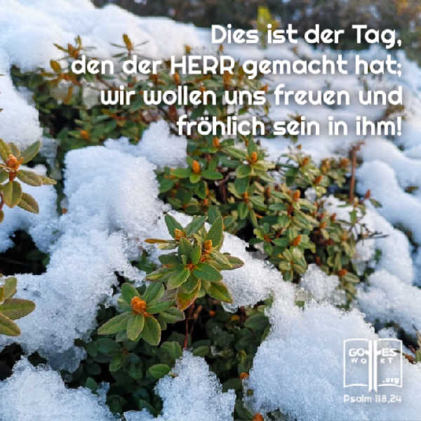 ✚ Dies ist der Tag, den der HERR gemacht hat; wir wollen uns freuen und fröhlich sein in ihm! psalm 118,24
https://www.gottes-wort.com/lieben.html
#loben #lieben #lachen #preisen