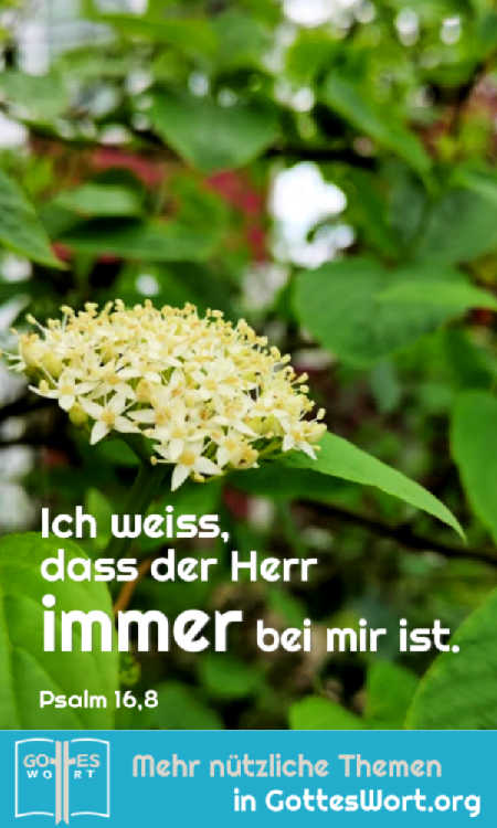 Ich weiss, dass der Herr immer bei mir ist.
Psalm 16,8