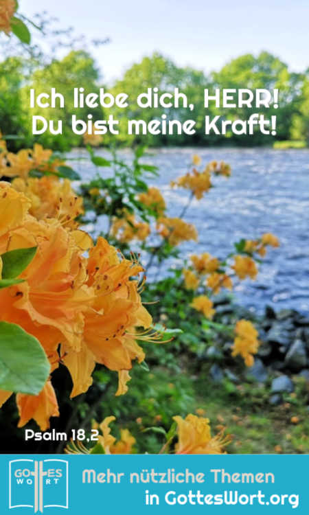 Ich liebe dich, HERR! Du bist meine Kraft! 
Psalm 18,2