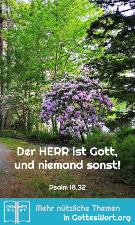 Der HERR ist Gott, und niemand sonst!
Psalm 18,32