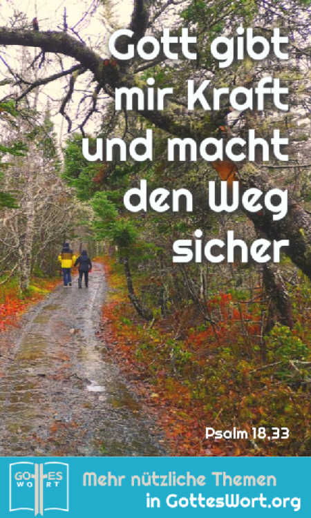 ✚ Der Weg, die Wahrheit, und das Leben:
Gott gibt mir Kraft und macht den Weg sicher. Psalm 18,33
Lese: https://www.gottes-wort.com/weg.html
#weg #wahrheit #leben #jesus