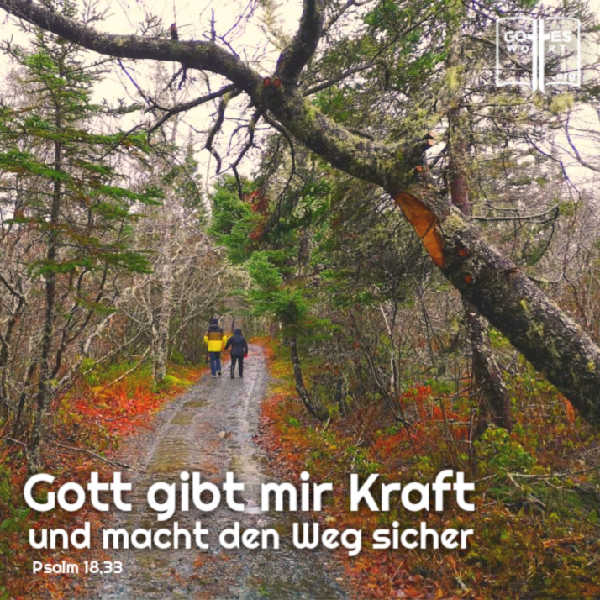 ✚ Der Weg, die Wahrheit, und das Leben:
Gott gibt mir Kraft und macht den Weg sicher. Psalm 18,33
Lese: https://www.gottes-wort.com/weg.html
#weg #wahrheit #leben #jesus