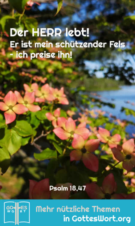 Der HERR lebt! Er ist mein schützender Fels – ich preise ihn! 
Psalm 18,47