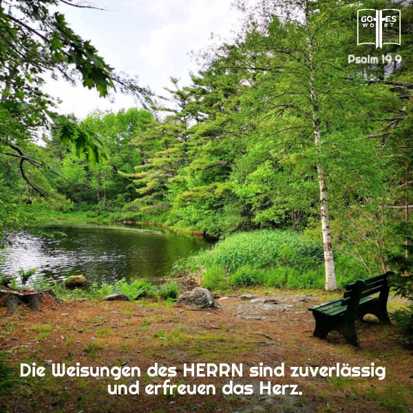 Die Weisungen des HERRN sind zuverlässig und erfreuen das Herz.
Psalm 19,9