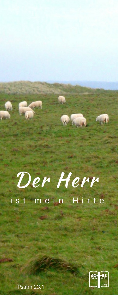 ✚ Gottes Wort: Die Namen Gottes im Psalm 23 ~ Der Herr ist mein Hirte!
https://www.gottes-wort.com/Die-namen-gottes.html
#gotteswort #psalm23 #jehovah #jesuschristus #derherristmeinhirte