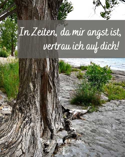 In Zeiten, da mir angst ist, vertrau ich auf dich! Psalm 56,4 MENG