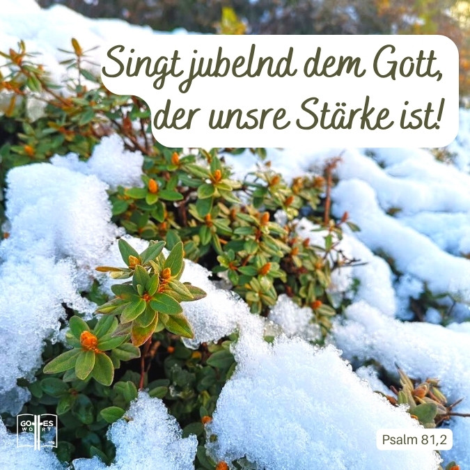 Singt jubelnd dem Gott, der unsre Stärke ist, Psalm 81,2 Singt jubelnd dem Gott, der unsre Stärke ist, Psalm 81,2