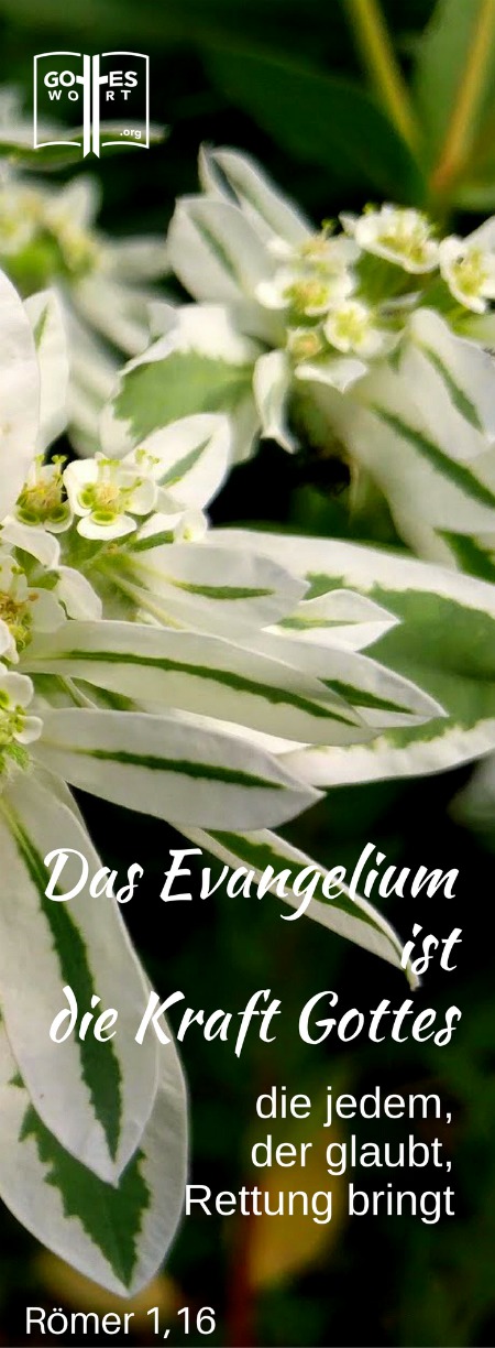 ✚ Das Evangelium ist die Kraft Gottes, die jedem, der glaubt, Rettung bringt. Römer 1,16
Schaue: https://www.gottes-wort.com/evangelium.html
#gotteswort #evangelium #botschaft