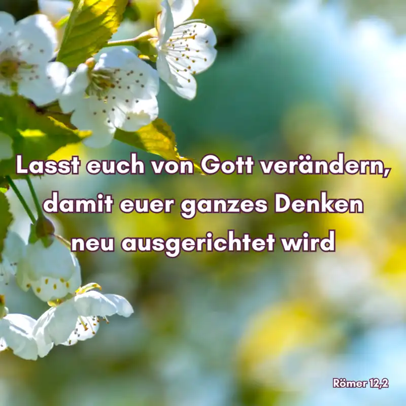 Lasst euch von Gott verändern, damit euer ganzes Denken neu ausgerichtet wird, Römer 12,2 Lasst euch von Gott verändern, damit euer ganzes Denken neu ausgerichtet wird, Römer 12,2