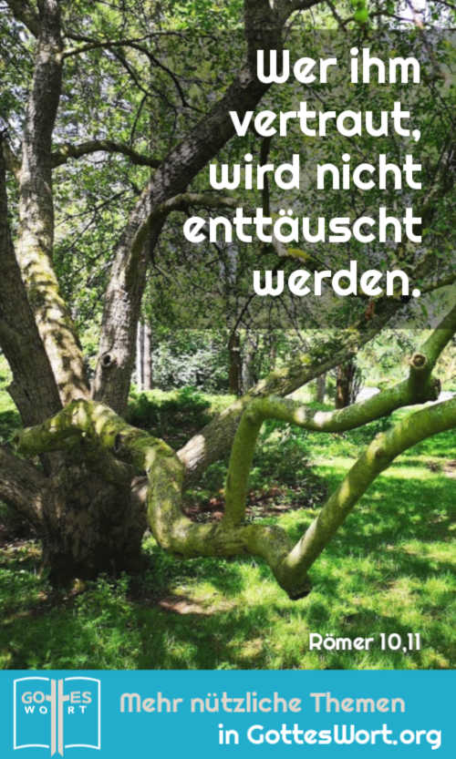 Wer ihm vertraut, wird nicht enttäuscht werden. Römer 10,11
Lese: Mehr: https://www.gottes-wort.com/der-letzte-moment.html
#gotteswort #bibel #errettung