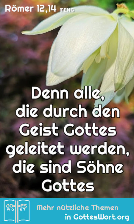 Denn alle, die durch den Geist Gottes geleitet werden, die sind Söhne Gottes, Römer 12,14