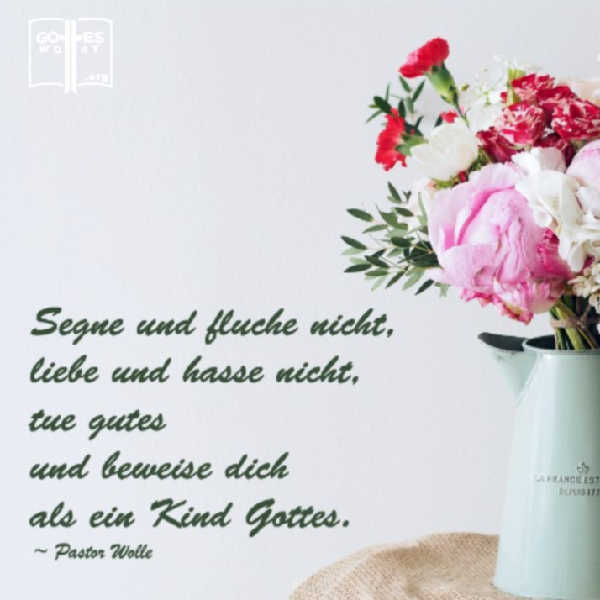 ✚ Segne und fluche nicht, liebe und hasse nicht 
Lese hier: https://www.gottes-wort.com/segnen.html
#segnen #fluche #liebe #hasses