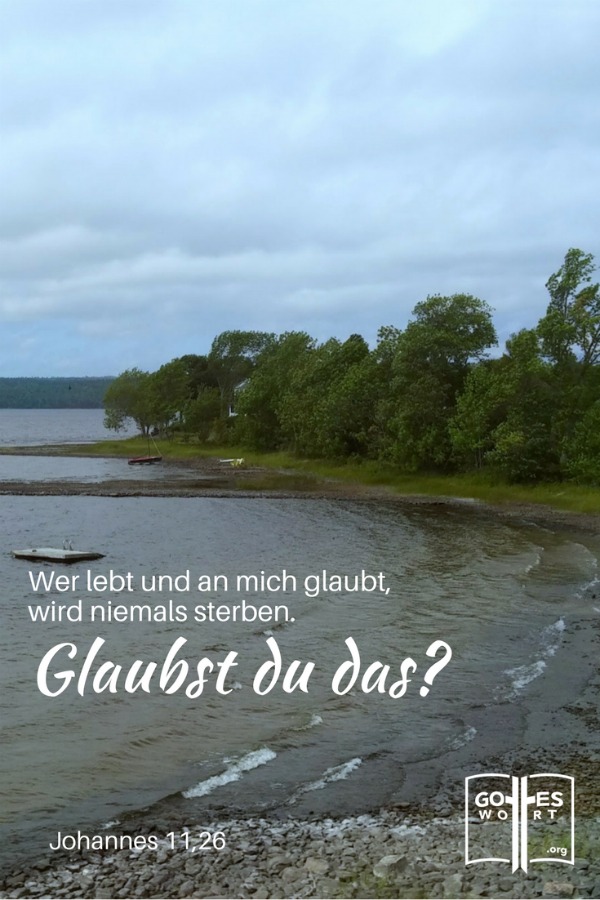 ✚ Solange wir keine Beschwerden haben, sind wir sind in guter Standhaftigkeit. Lass es mal stürmisch werden. Was macht man dann?
https://www.gottes-wort.com/sturm.html
#probleme #hilfe