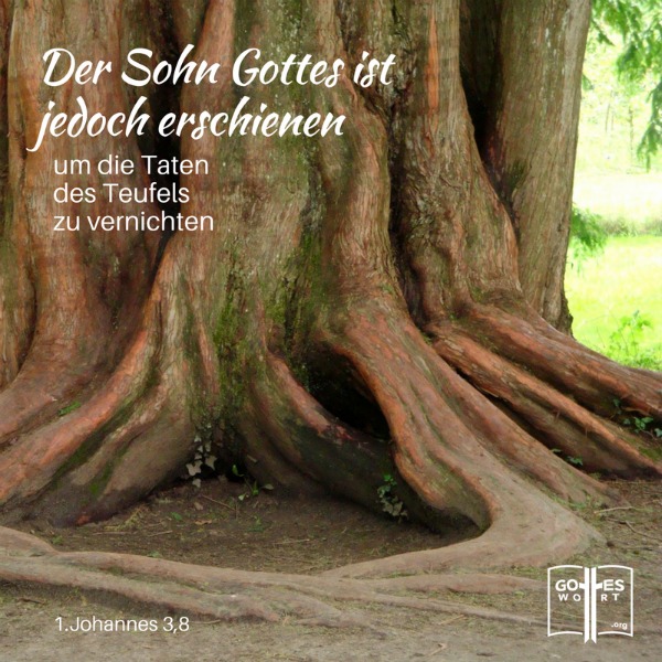 ✚ Das unbegrenzte Leben (1.Johannes 3,8)  Lese: https://www.gottes-wort.com/unbegrenzte-leben.html
#unbegrenzteleben #leben #lebenimueberfluss