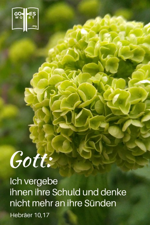 Vergeben und Vergessen. Das ist unser Gott!
Vergeben und Vergessen. Das ist unser Gott!
Hebräer 10,17
https://www.gottes-wort.com/vergeben-und-vergessen.html
 #verfehlung #vergebung #suende #gotteswort