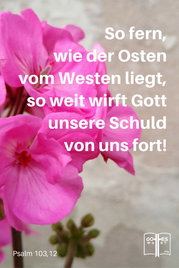 Vergebung steht gleich mit “vergessen” oder “keine Erinnerung” als wenn etwas niemals existierte. #vergebung #sünden #schlechtesgewissen #schuld 
lese: https://www.gottes-wort.com/vergebung.html