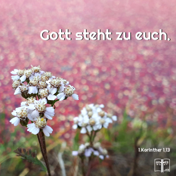 ✚ Gott steht zu euch. 1.Korinther 10,13
Lese: https://www.gottes-wort.com/daemonen.html
#bibel #jesuschristus #daemonen #gotteswort