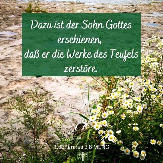 Dazu ist der Sohn Gottes erschienen, daß er die Werke des Teufels zerstöre, 1.Johannes 3,8