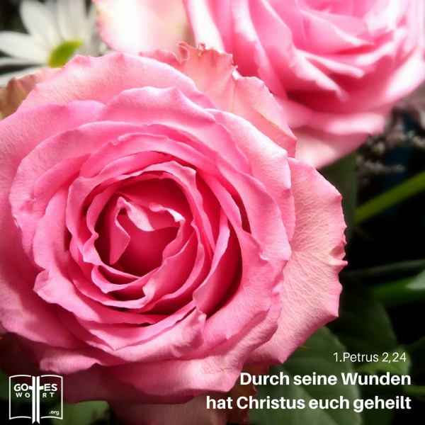 Ist Heilung, wie sie in der Bibel beschrieben wird, rückgängig geworden? Hat Gott seine Meinung geändert? Könnte das der Grund sein, warum das Handauflegen nur manchmal, wenn überhaupt, funktioniert?