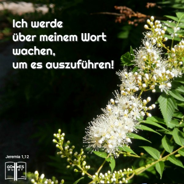 ✚ Ich werde über meinem Wort wachen, um es auszuführen. Jeremia 1,12 HALLELUJA!
Mehr: https://www.gottes-wort.com/auferstehung-jesu-christi.html
#jesuschristus #gotteswort  #gott