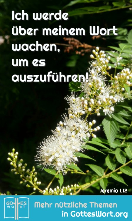 ✚ Ich werde über meinem Wort wachen, um es auszuführen. Jeremia 1,12 HALLELUJA!
Mehr: https://www.gottes-wort.com/auferstehung-jesu-christi.html
#jesuschristus #gotteswort  #gott