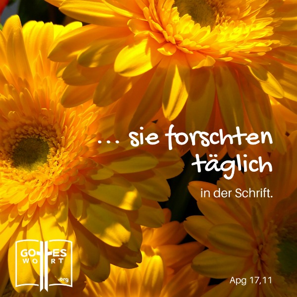 Die Bibel ist manchmal einfacher zu verstehen wenn es mit Bildern oder Fotos betont wird.
(gelbe Blumen)