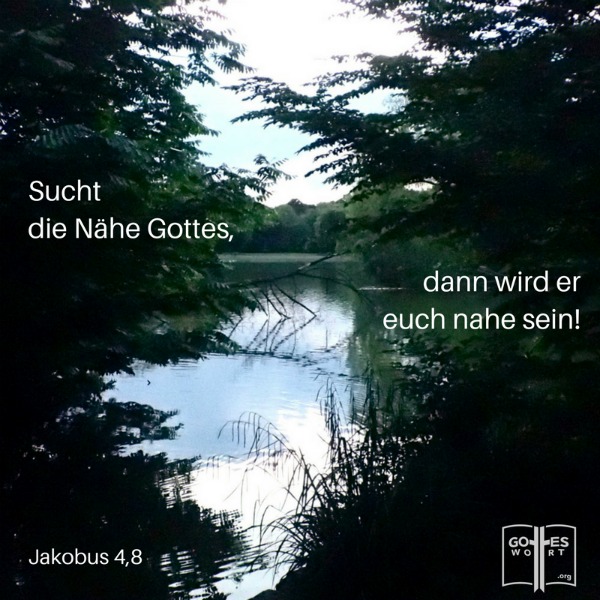 Sucht die Nähe Gottes, dann wird er euch nahe sein! Wascht ´die Schuld` von euren Händen, ihr Sünder! Reinigt eure Herzen, ihr Unentschlossenen!
Jakobus 4,8