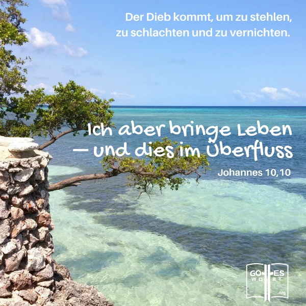 ✚ Der Dieb kommt, um zu stehlen, zu schlachten und zu vernichten. Johannes 10,10 
Weiterlesen: https://www.gottes-wort.com/der-teufel.html
#teufel #jesuschristus #gotteswort