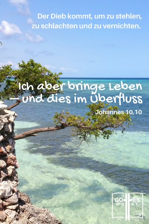 ✚ Der Dieb kommt, um zu stehlen, zu schlachten und zu vernichten. Johannes 10,10 
Weiterlesen: https://www.gottes-wort.com/der-teufel.html
#teufel #jesuschristus #gotteswort