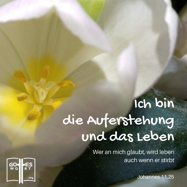 Ab und zu entsteht die Frage über christliche Bestattung: entweder Beerdigung oder Brandbestattung?