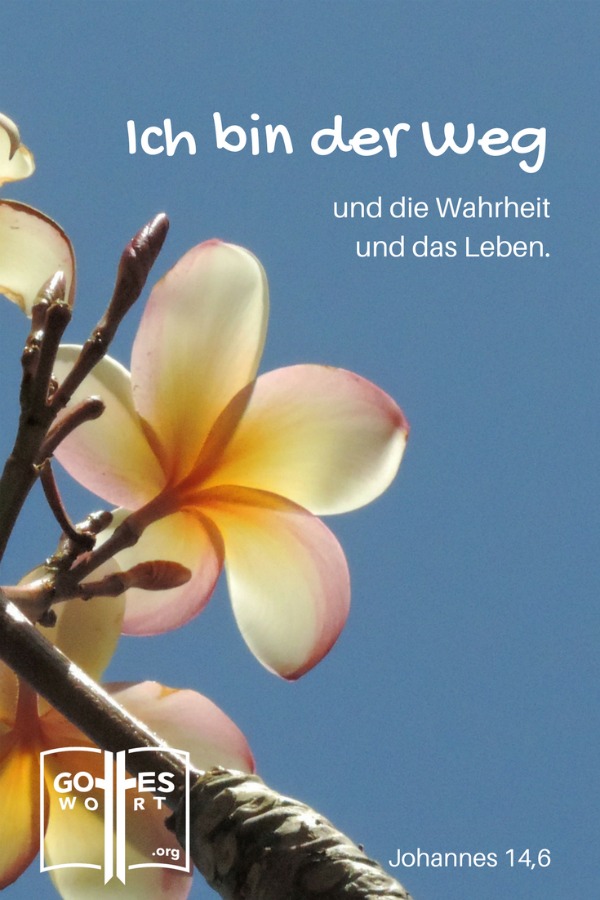 ✚ Jesus sagte, Ich bin der Weg und die Wahrheit und das Leben; ... Johannes 14,6
Mehr: https://www.gottes-wort.com/auferstehung-jesu-christi.html
#jesuschristus #derweg #gotteswort