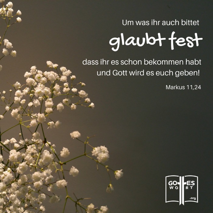 Was man glaubensvoll und schriftgemäß ausspreche, wird man erhalten. Gottes Zusagen sind für uns erreichbar im Namen Jesus. Mehr: https://www.gottes-wort.com/aussagen.html
#aussagen #gotteswort