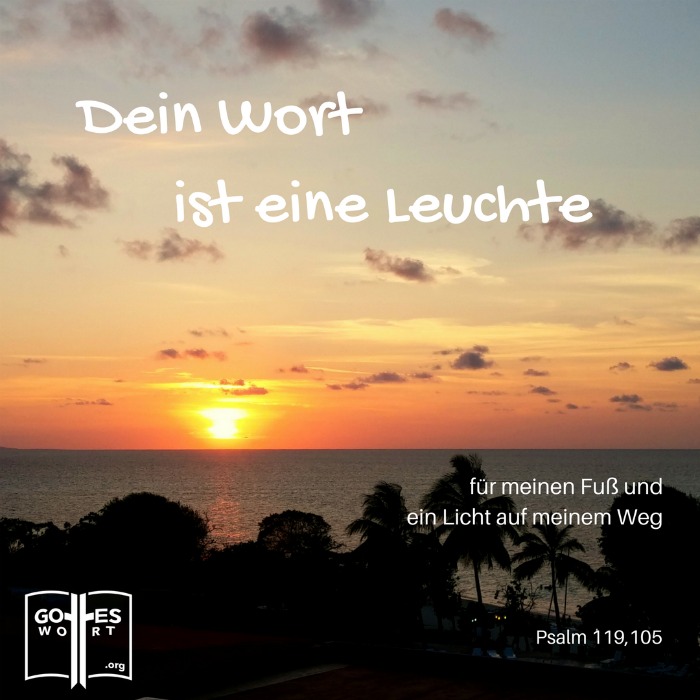 ✚ Dein Wort ist wie ein Licht in der Nacht, das meinen Weg erleuchtet.  Psalm 119,105
Lese: https://www.gottes-wort.com/berichte.html
#psalm #deinwort #licht