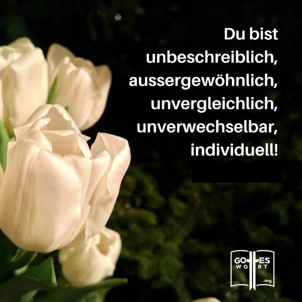 ✚ Du bist unbeschreiblich, aussergewöhnlich, unvergleichlich, unverwechselbar, individuell! Gott hat dich so gemacht. 
www.gottes-wort.com/einmalig.html
#gottesliebe #gottestreue #dubisteinmalig