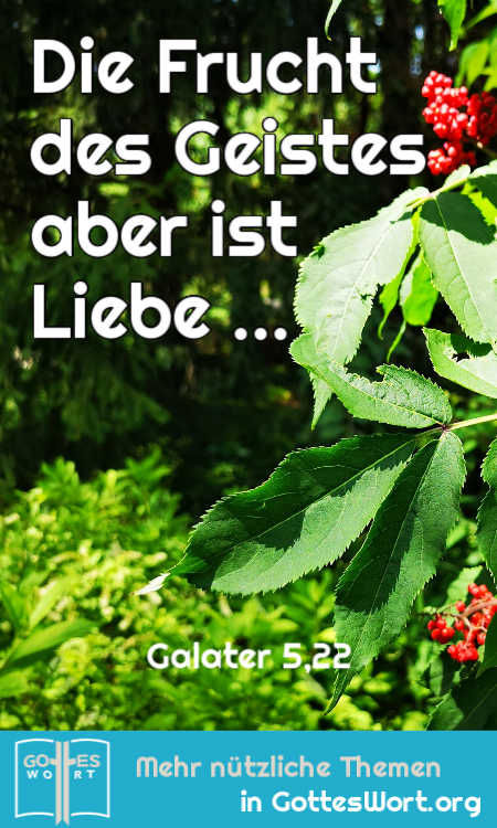 Die Frucht des Geistes aber ist Liebe, Freude, Friede, Langmut, Freundlichkeit, Güte, Treue, Sanftmut, Selbstbeherrschung. 
Galater 5,22