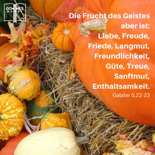 Die Frucht des Geistes sind die vorgeschriebenen Eigenschaften die in unserem christlichen Leben erkennbar sein sollten.