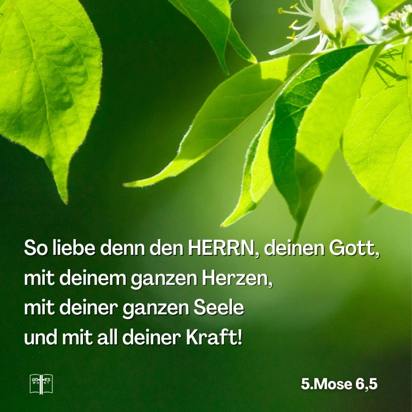 Gottes Gebote sind Anforderungen, die nicht außer Acht gelassen werden dürfen. Liebe umschließt alle anderen vorausgesetzte Bedingungen und soll mit ganzem Herzen, Seele und Denken befolgt werden.