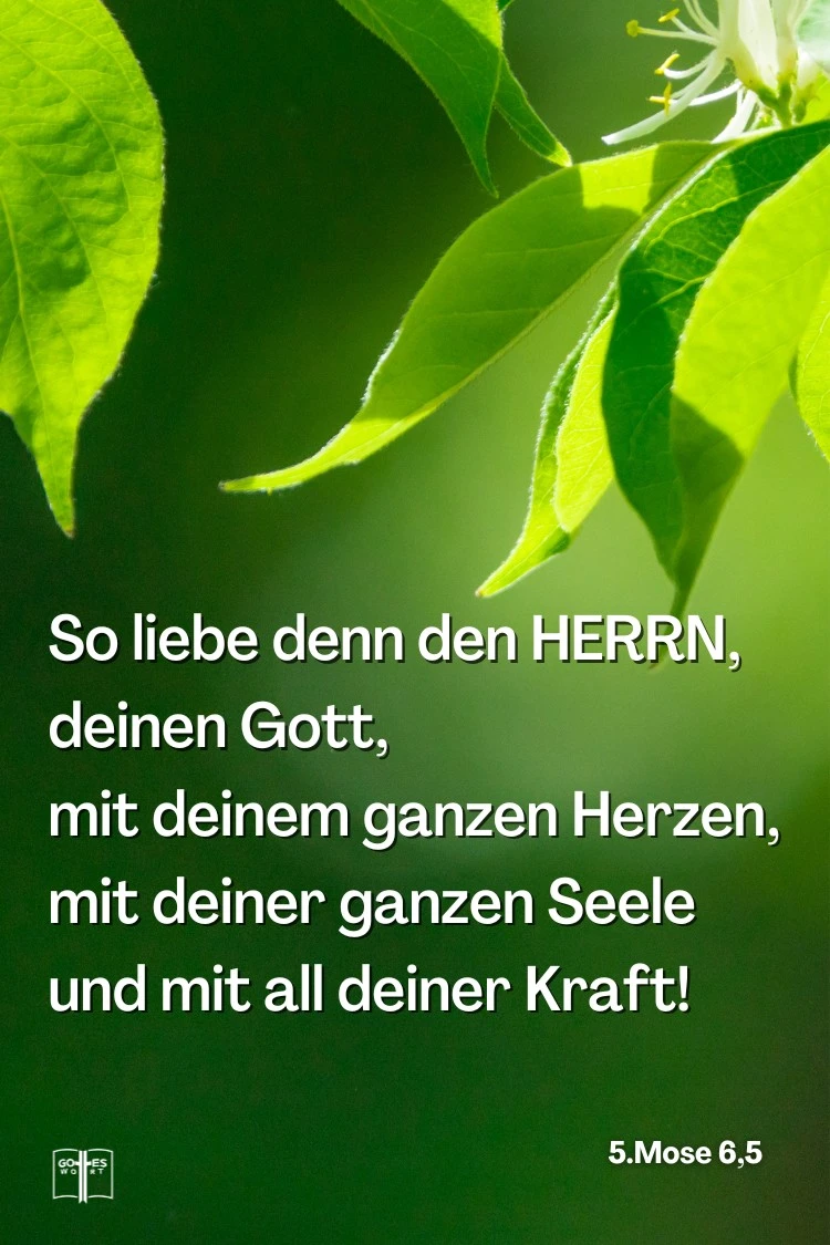 Ihr sollt den Herrn, euren Gott, von ganzem Herzen, von ganzer Seele und mit eurer ganzen Kraft lieben.
5.Mose 6,5