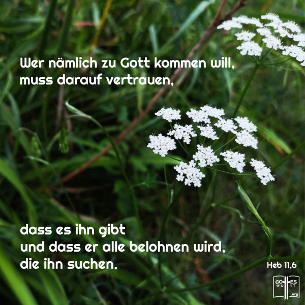 Wer nämlich zu Gott kommen will, muss darauf vertrauen, dass es ihn gibt und dass er alle belohnen wird, die ihn suchen, Heb 11,6.
#glauben #gotteswort #bibel