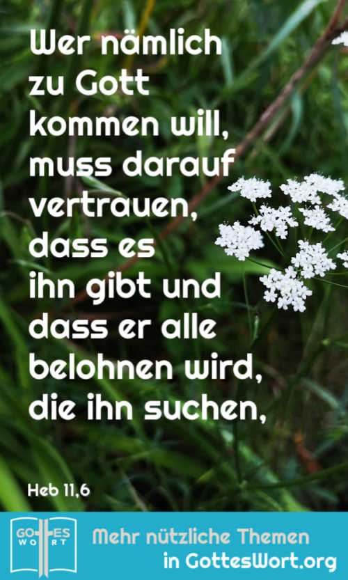 Wer nämlich zu Gott kommen will, muss darauf vertrauen, dass es ihn gibt und dass er alle belohnen wird, die ihn suchen, Heb 11,6. 
#glauben #gotteswort #bibel