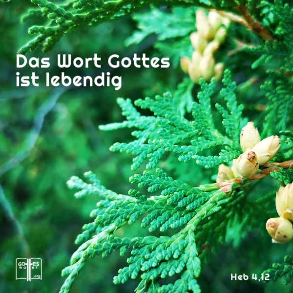 Das Wort Gottes ist lebendig, es ist eine wirkende Macht. Hebräer 4,12