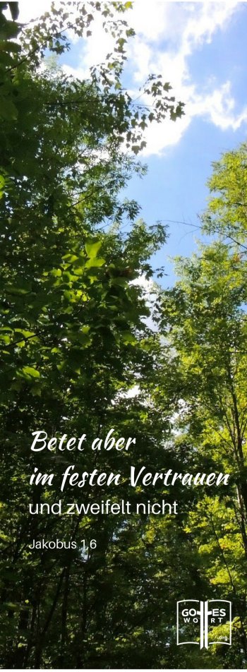 Betet aber in grosser Zuversicht, und zweifelt nicht; denn wer zweifelt, gleicht den Wellen im Meer, ..Jacobus 1,6
#beten #gotteswort
 https://www.gottes-wort.com/gottvertrauen.html