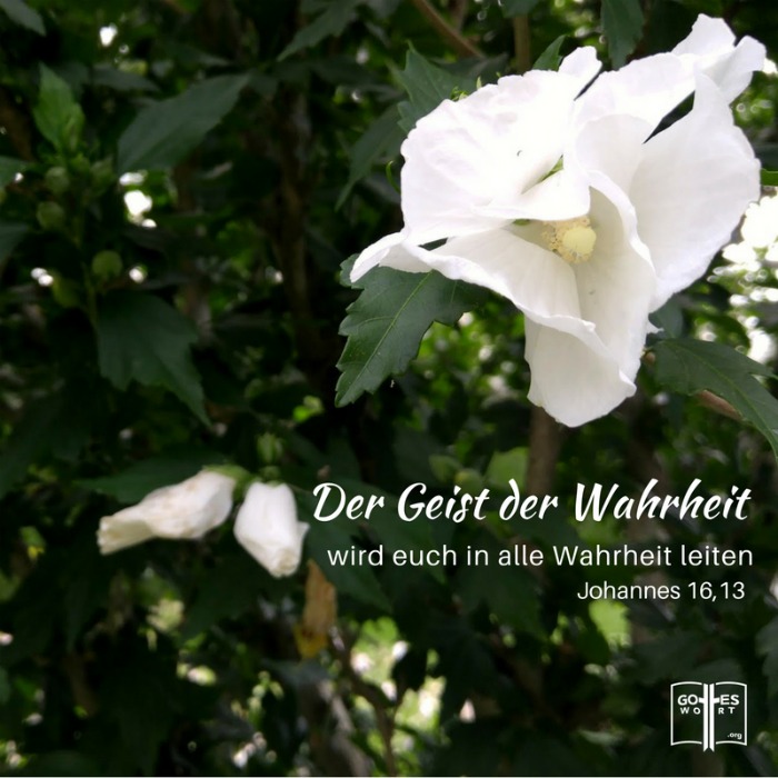 Der Geist der Wahrheit ... Johannes 16,13