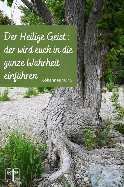 Wenn aber jener gekommen ist, der Geist der Wahrheit, der wird euch in die ganze Wahrheit einführen, Johannes 16,13